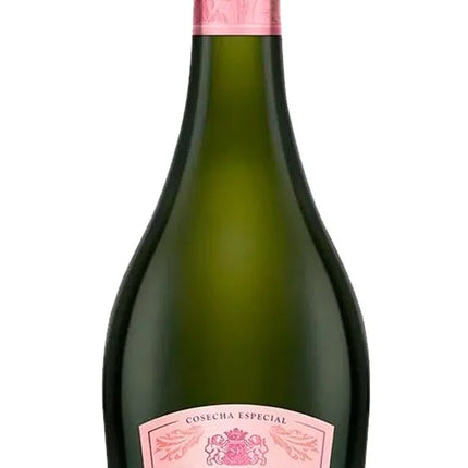 Sidra 1888 Saenz Briones Rosé Hibiscus Sin TACC, 750 ml (Cosecha Especial)