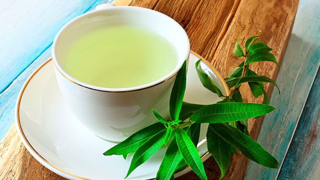 Te de Cedrón Saint Gottard, 30 g / 1,05 oz (Caja de 20 saquitos)