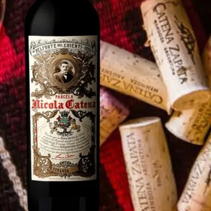 Vino Tinto Parcela Nicola Catena Bonarda, 750 ml