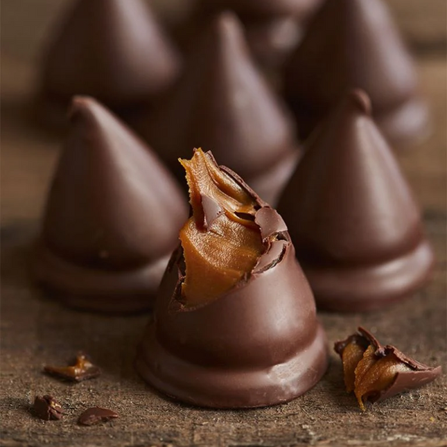 Havanna Havannets Conitos de Chocolate con Dulce de leche, 456 g / 16.08 oz (Caja 12 unidades)