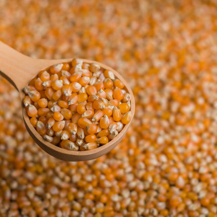 Pisingallo corn to prepare Elio popcorn, 400 g / 14.10 oz