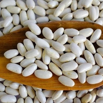 Beans Alubia Elio, 500 g / 17.63 oz